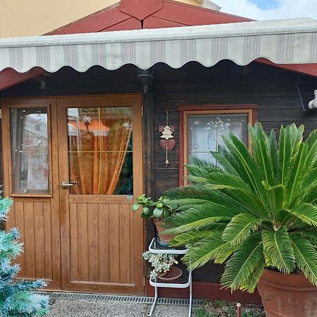 Nonna Lori'S Chalet Pisa Zona Stazione E Aeroporto Экстерьер фото